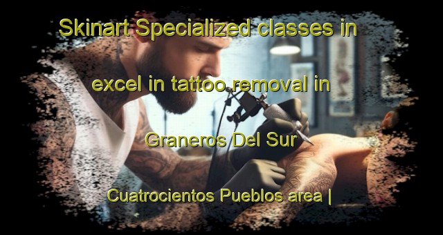 Skinart Specialized classes in excel in tattoo removal in Graneros Del Sur  Cuatrocientos Pueblos area | RemovalTraining | RemovalClasses | SkinartTraining-Mexico